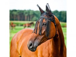 Fliegenohren mit Fransen
