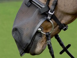 Fliegen-Nasenschutz mit Klettstreifen