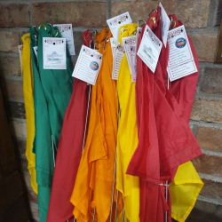 Professionelle Horsemanship Flag