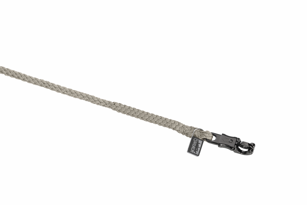 Palegrey